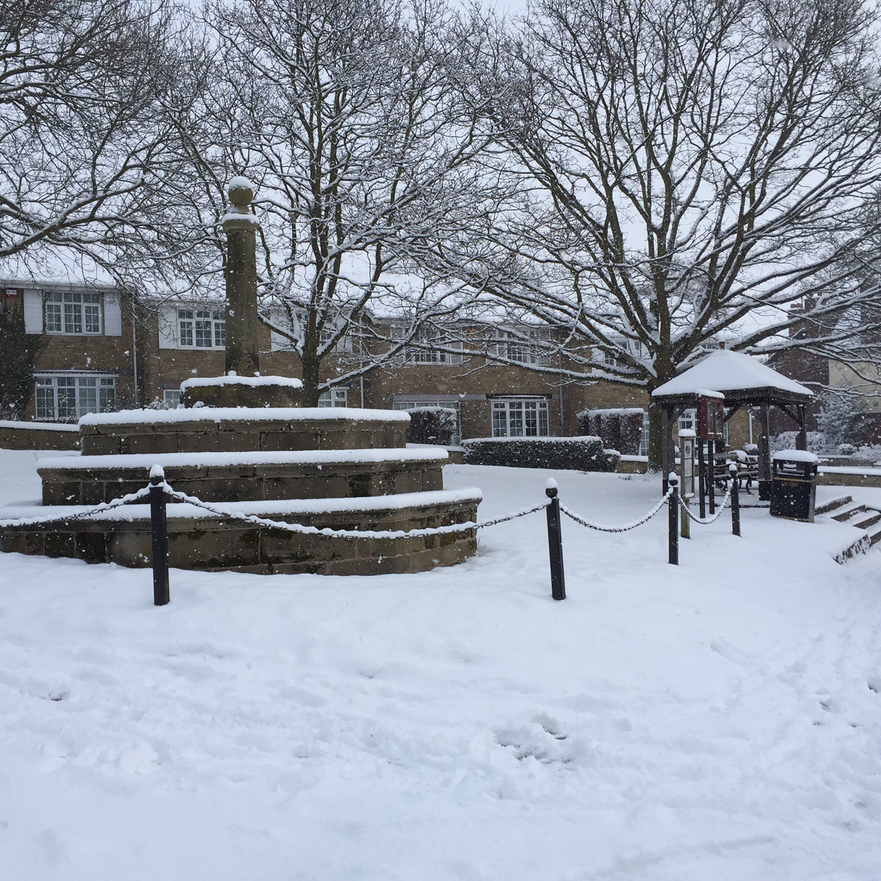 village green in the snow feb 2018